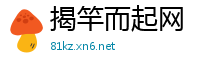 揭竿而起网